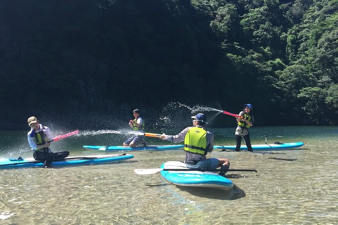 [Recommended on Arrival Date or Before Leaving! ] Relaxing and Relaxing Water Walk Awakawa River SUP [Half Afternoon Tour] - Additional Information