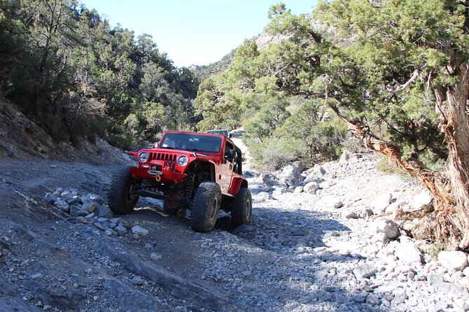 Red Rock Canyon Half Day Jeep Tour Review - Guide-Enhanced Skills