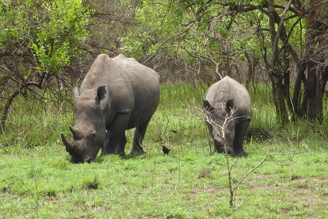 Rhino Walking Safari at Mosi-oa-Tunya National Park - Frequently Asked Questions