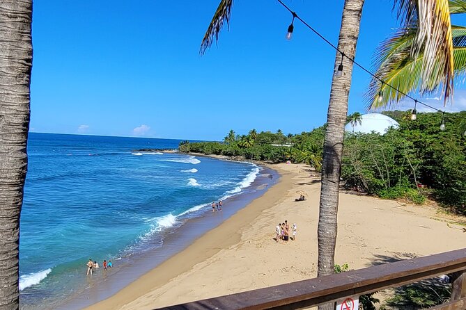 Rincon Tour Sunset & Nightlife Experience - Key Points