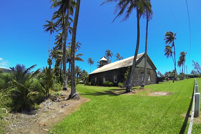 Road to Hana Rainforest, Black Sand Beach, Waterfalls & Lunch - Memorable Experiences and Traveler Feedback