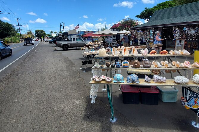 Round Trip North Shore Shuttle From Waikiki to Haleiwa Town / Haleiwa Harbor - Frequently Asked Questions