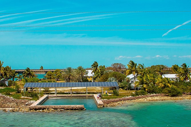 Round-Trip Transfer: Fort Lauderdale to Key West - Customer Feedback and Insights