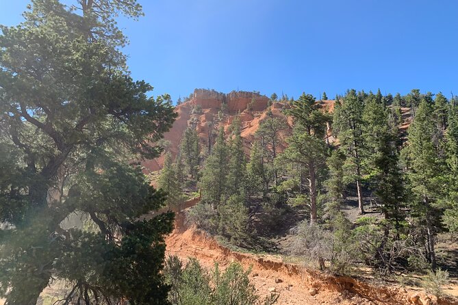 Rubys Horseback Adventures Utah Half Day Ride - Ride Duration and Pace Considerations