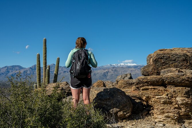 Saguaro National Park Audio Tour Review - The Sum Up