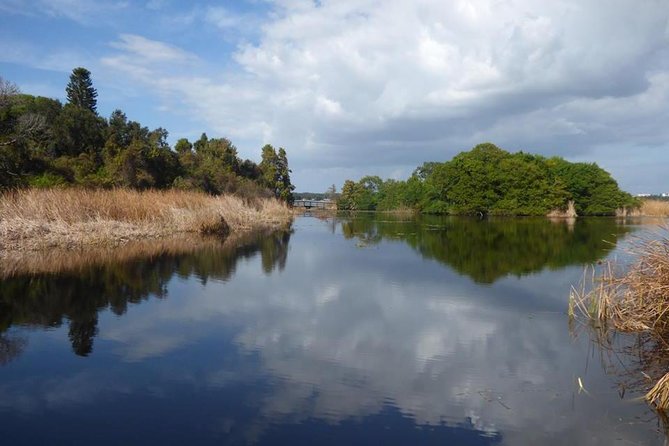Saint Petersburg Preserve Bike Tour - Exploring the Ecosystems