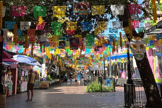 San Antonio Hop-On Hop-Off Trolley Tour - Recommendations and Tips