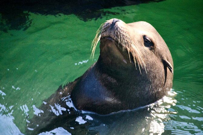San Francisco Full Day Small Group Tour - Pricing and Payment Options