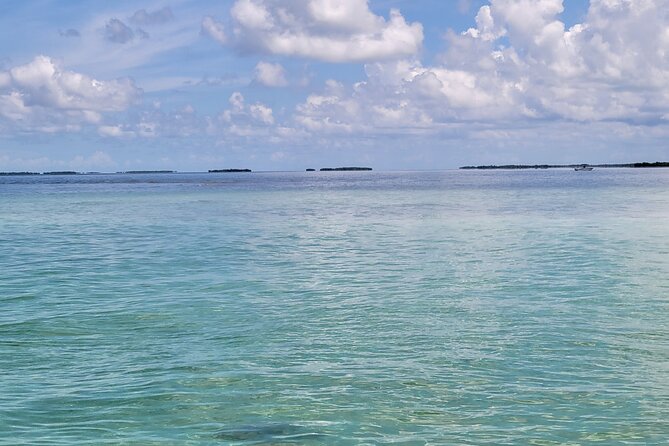 Sandbar Adventure Review: A Key West Experience - Final Verdict On This Stay