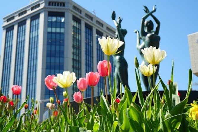 Sapporo Afternoon Walking Tour 2h 30mins - Tour Duration and Pace