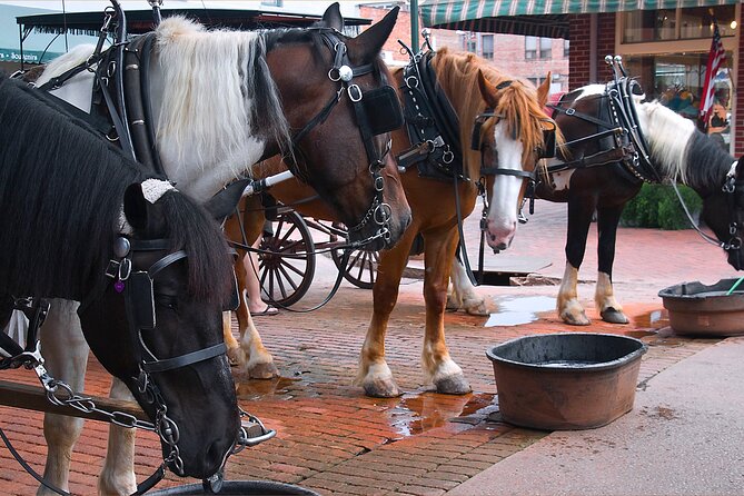 Savannah Scavenger Hunt Walking Tour Review - Final Verdict On This Stay