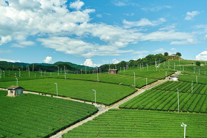 Scenic Tour of Kuroki and Nakayama Wisteria in Fukuoka YokaBus - Frequently Asked Questions