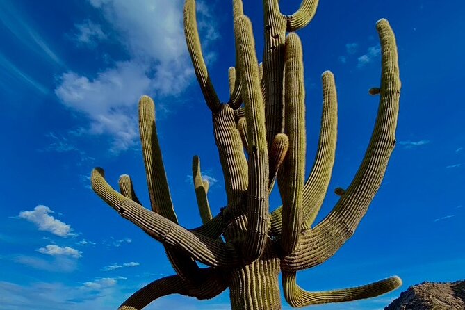 Scottsdale Desert Classic Guided Hiking Adventure - Personalized Attention and Care