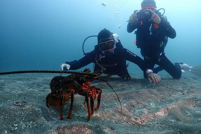 Scuba Diving & Snorkeling - The Beauty of Underwater Exploration in Ito