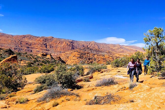 Secret Petroglyphs Hike Adventure - Additional Considerations