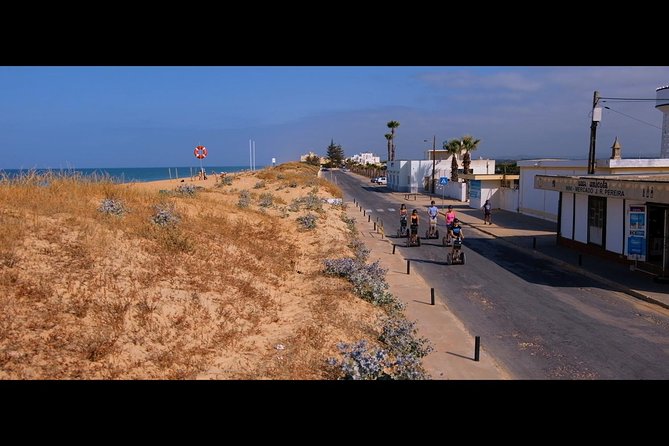 Segway Surf and Oysters! - Ask Away