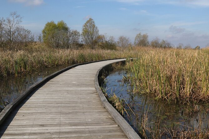 Self-Guided Audio Driving Tour in Creole Nature Trail - Technical Support and Assistance