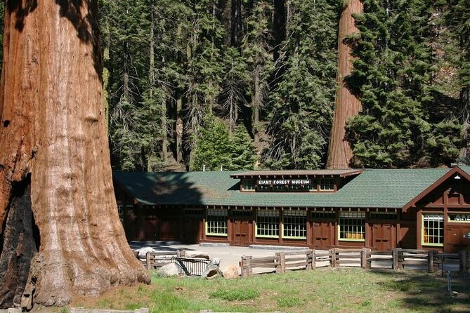 Self-Guided Audio Driving Tour in Sequoia and Kings Canyon - Frequently Asked Questions