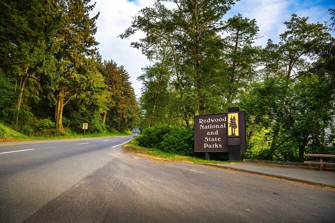 Self Guided Driving Audio Tour of Redwood National and State Park - Enhancing Your Redwood Forest Experience