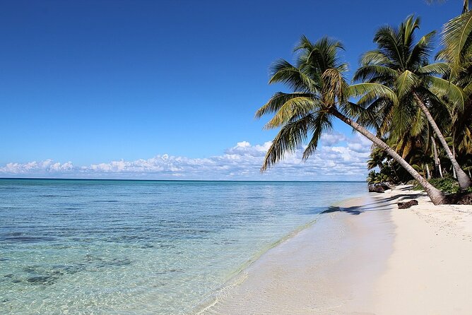 Shared 8 Hours Party Boat Saona and Natural Pool From Bayahibe - Frequently Asked Questions