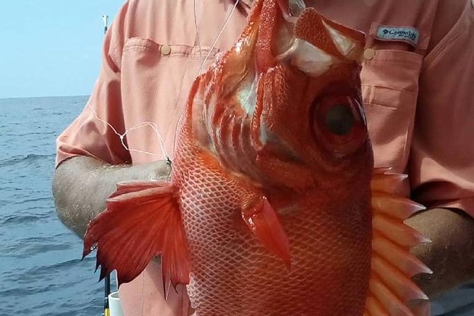 Shared Deep Sea Fishing Trip - Tips for a Successful Fishing Experience