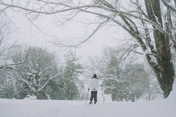 Shared Snowshoe Hiking Tour in Semboku - Local Culture and Cuisine