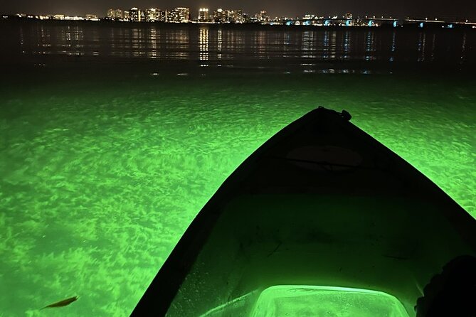 Sharkeys Glass Bottom Fish Feeding LED Night Tour in Sarasota - Recommendations and Tips for Participants