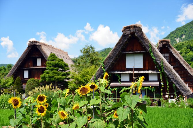 Shirakawa-Go From Takayama/Nagoya One Day Bus Ticket - Ticket Types and Validity