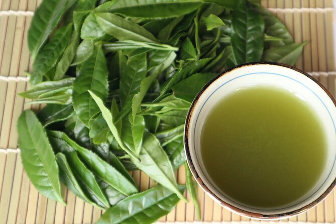 Shizuoka Tea Picking Private Experience - Booking and Availability