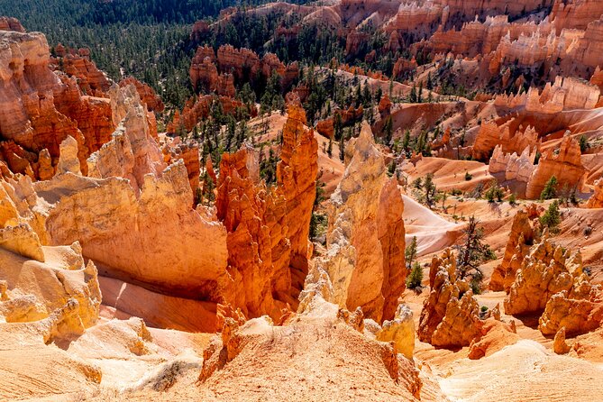 Shuttle Between Las Vegas, Bryce Canyon, Zion National Park and St George - Travel Tips for Passengers