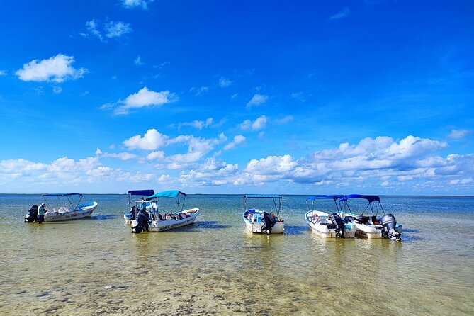 Sian Kaan Trip From Playa Del Carmen & Tulum - Tips for a Successful Trip