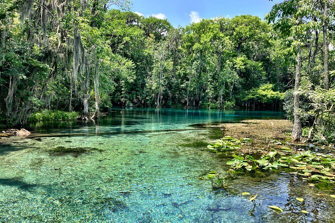 Silver Springs Premium Florida Manatee & Wildlife Experience - Frequently Asked Questions
