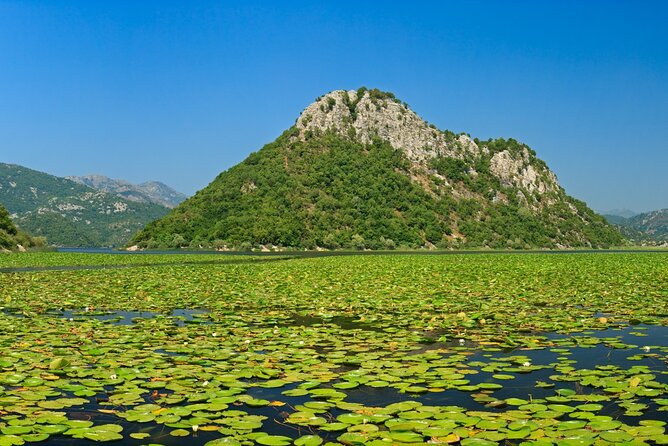 Skadar Lake Day Trip From Herceg Novi - Ask Away