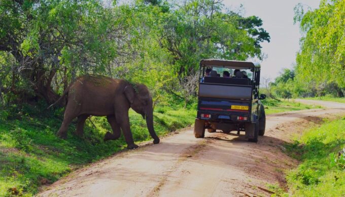 SL : 2 Nights Luxury Wild Experience in Leopard Nest Yala - Frequently Asked Questions