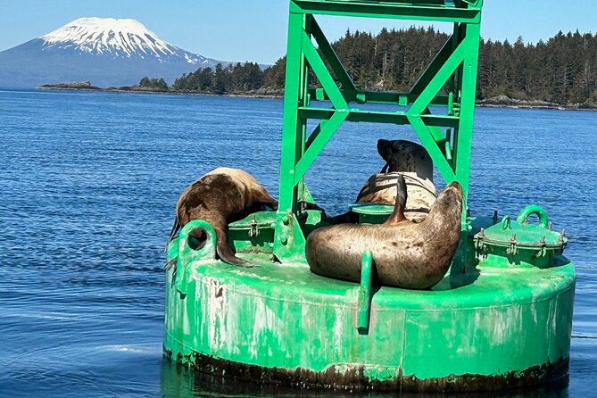 Small Group Boat Tour of Sitka - Value and Memorable Experiences