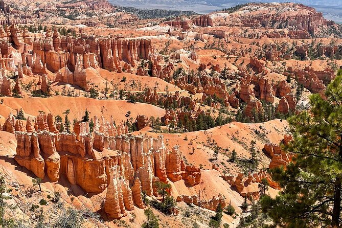 Small Group Day Tour To Explore Bryce Canyon & Zion National Park - Alternatives to Consider