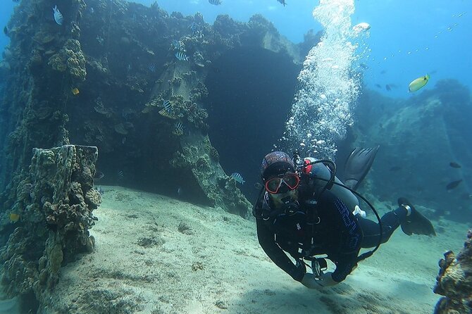 Small Group Discover Scuba Diving From Electric Beach With Photos - Why Choose This Scuba Diving Tour