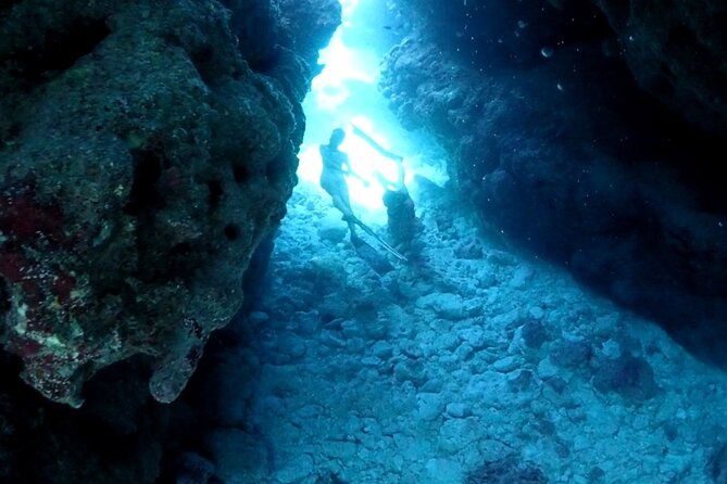 Small Group Diving Activity in Miyakojima - What to Bring for a Memorable Diving Experience