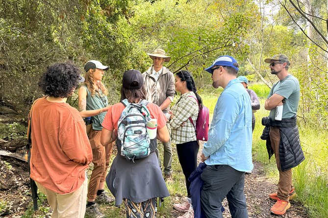 Small Group Hike Through San Diegos Heart and Soul - Meet Your Guide: Cypress