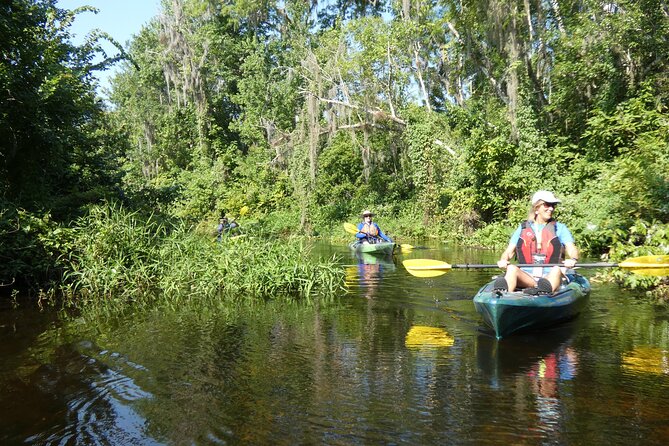 Small Group Scenic Wekiva River Kayak Tour Review - The Sum Up