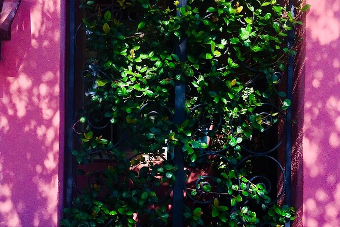 Small-Group Tour: Charleston Old Walled City Historical Walking Tour - Insider Tips and Recommendations