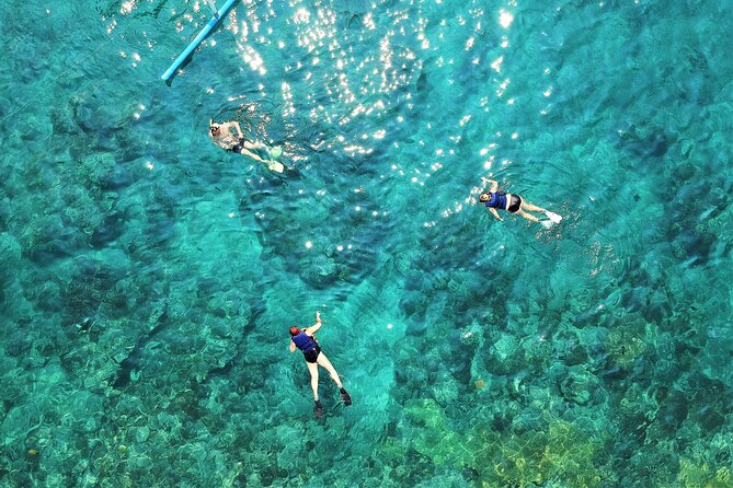 Snorkel Adventure Through the Sea of Cortez - Customer Experiences