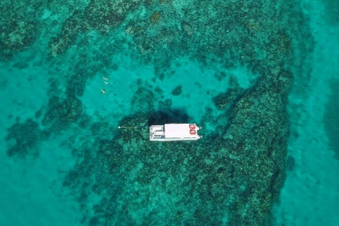 Snorkel Tour - Visit 2 Shallow Reefs John Pennekamp State Park - Snorkeling Equipment and Reef-Safe Sunscreen