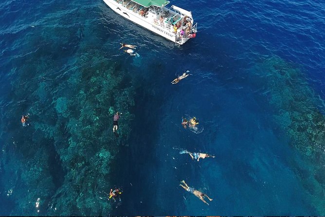 Snorkel Vessel Review: Private 3-Hour Adventure - The Sum Up