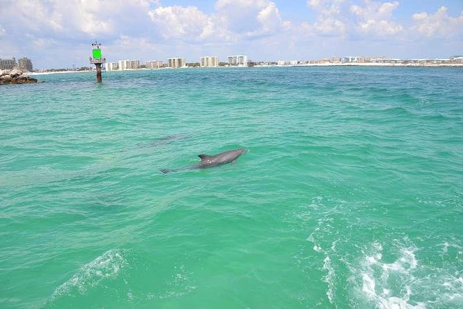 Snorkeling, Shelling & Eco Excursion - Health and Safety Considerations