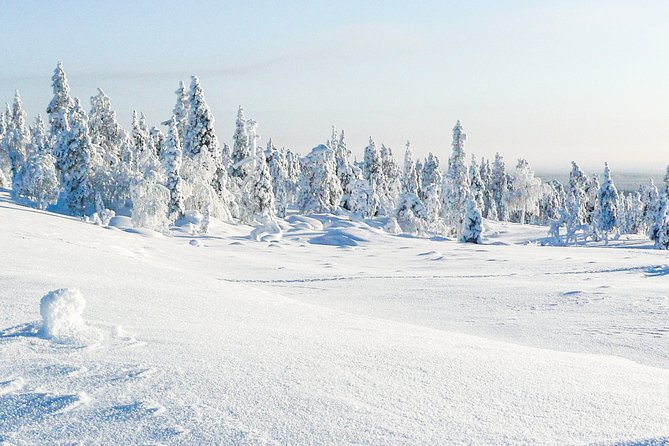 Snow Adventure Day From Kemi - Tips for Participants
