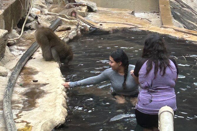 Snow Monkey Park Tour, From/To Tokyo, 2-12 Guests - Transportation and Logistics