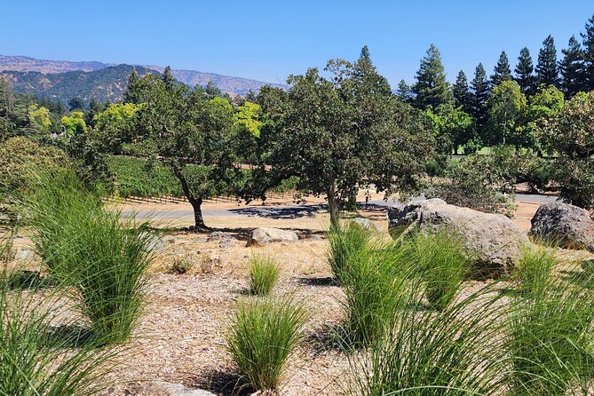 Sonoma and Napa Champagne Wine Private Tour Half Day - Customer Reviews and Ratings