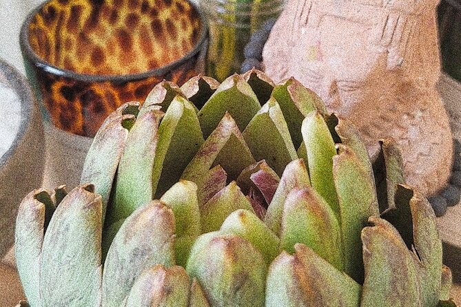Soul Revitalization: Cacao & Sound Ceremony 3 H. Private Retreat - Operator Background