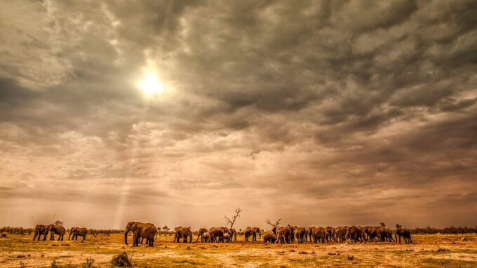Sri Lanka: Wildlife and Beach - Cultural and Scenic Attractions